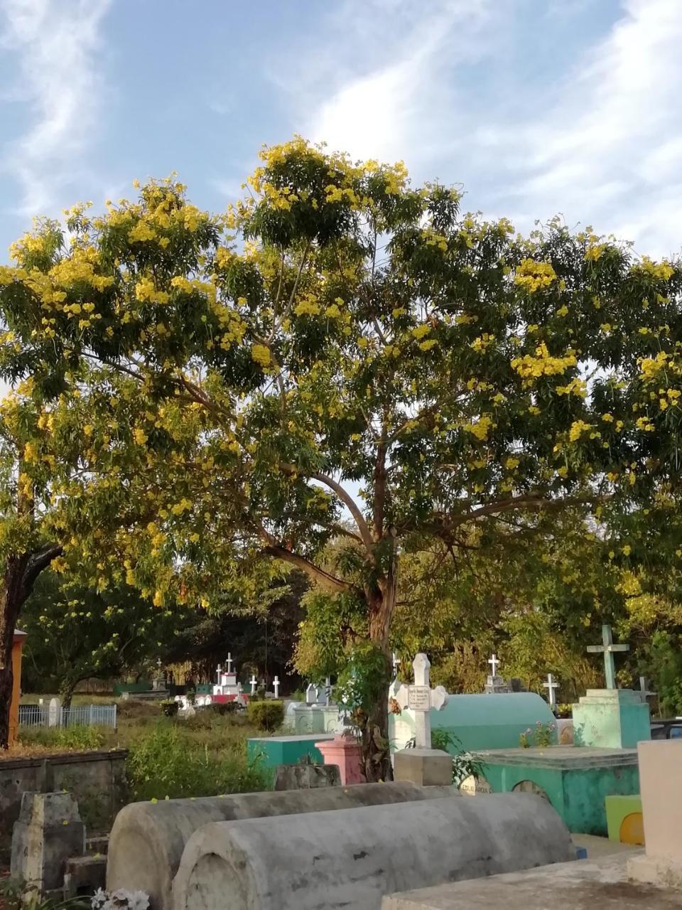 Loren'S House Moyogalpa Luaran gambar