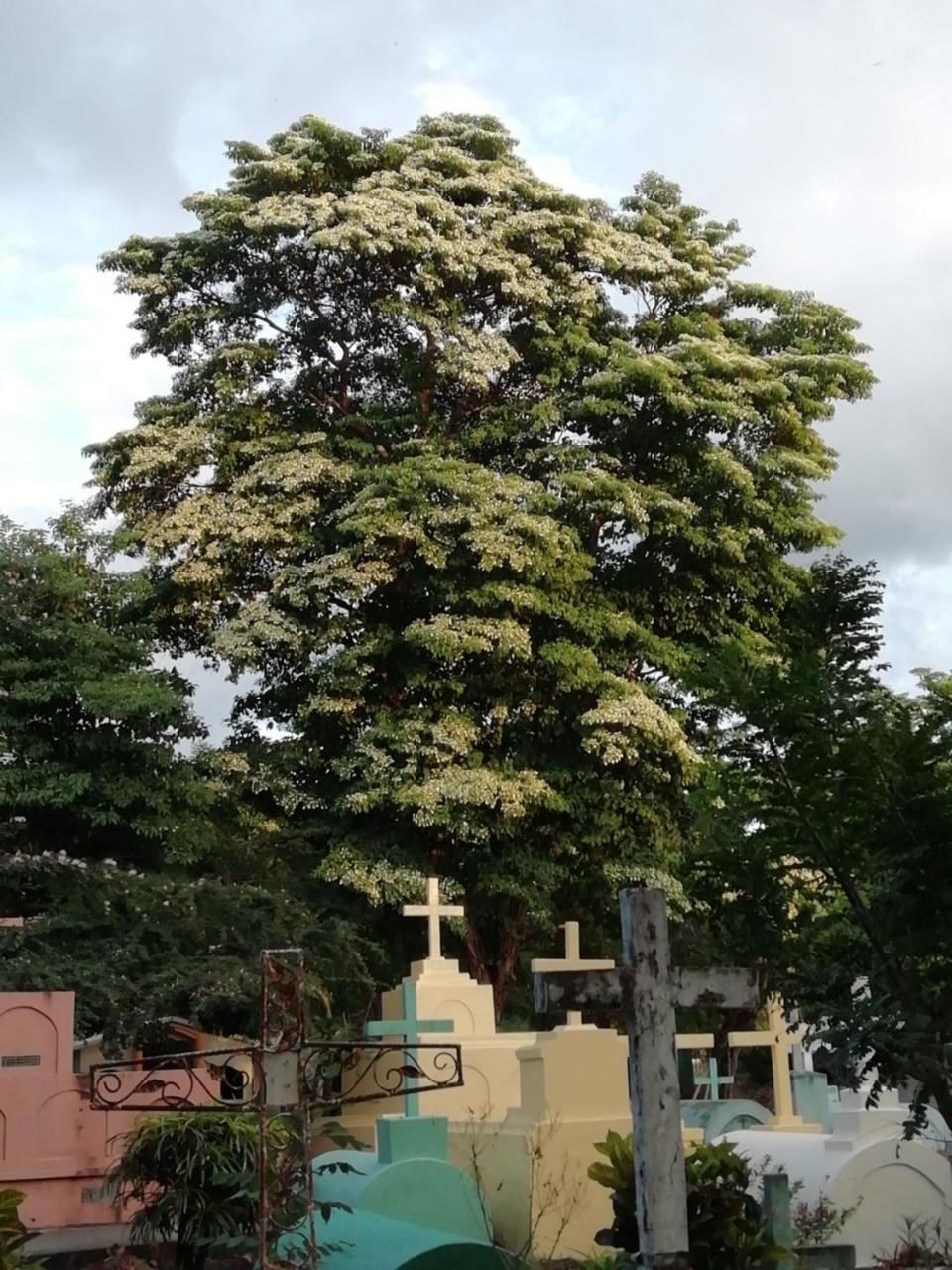 Loren'S House Moyogalpa Luaran gambar